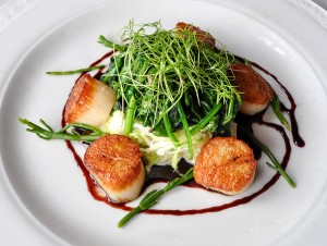 Scallops 1200 